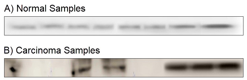 An external file that holds a picture, illustration, etc., usually as some form of binary object. The name of referred object is rmmj-10-4-e0024-g001.gif